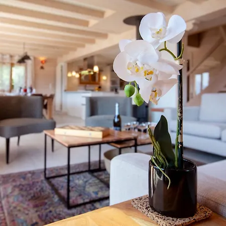 Domino By Interhome Chesières