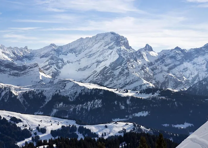 Domino By Interhome Chesières