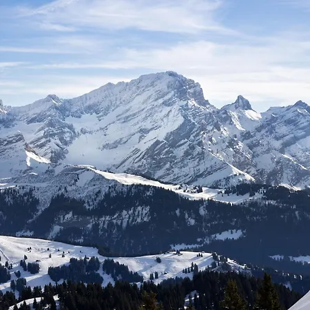 Domino By Interhome Chesières