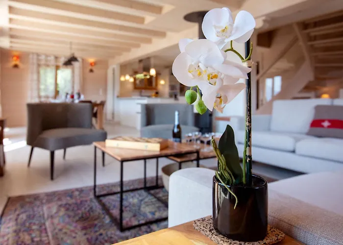 Domino By Interhome Chesières